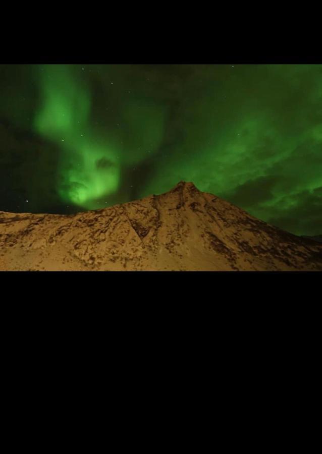 Senja Villa Gryllefjord المظهر الخارجي الصورة